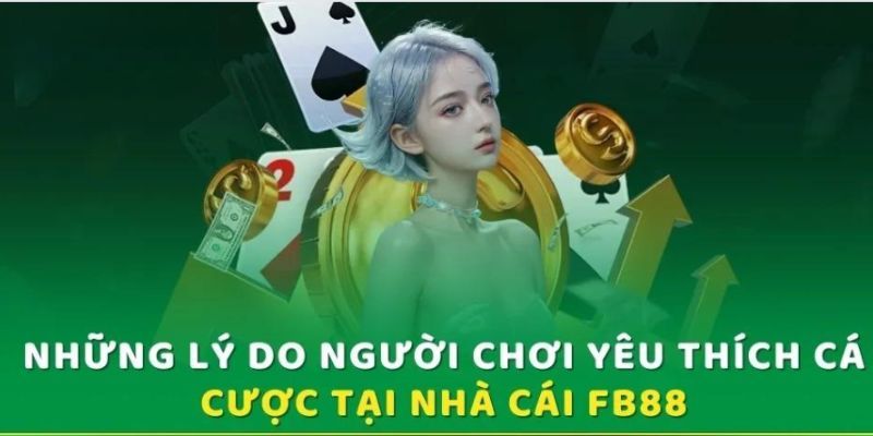 Những điểm nổi bật mà hệ thống nhà cái đem lại